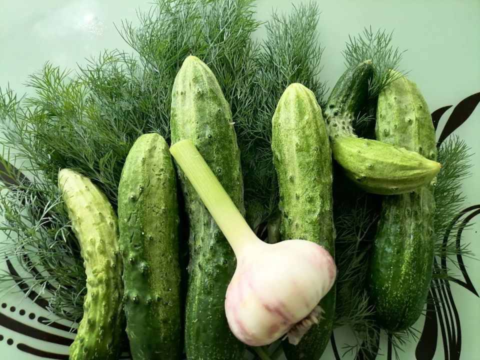  :   ,      
