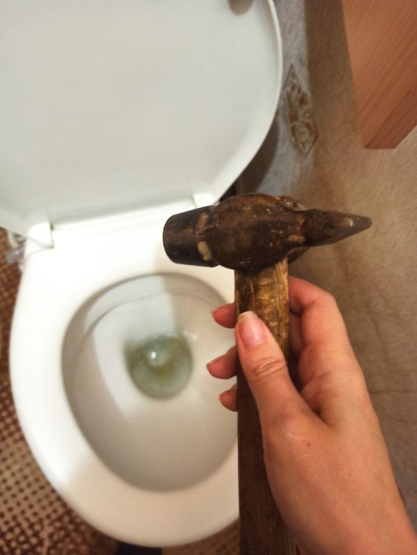     :  