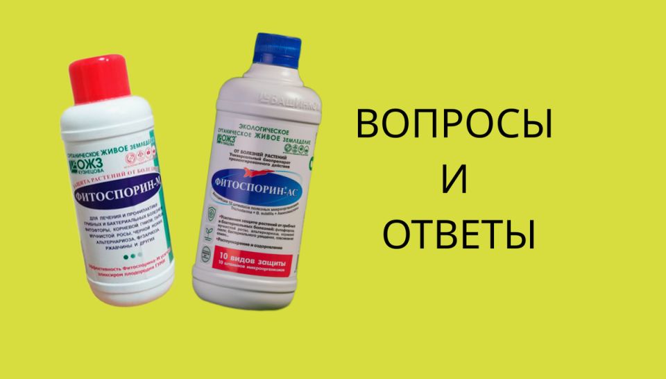 Фитоспорин: секреты эффективного использования в домашнем садоводстве