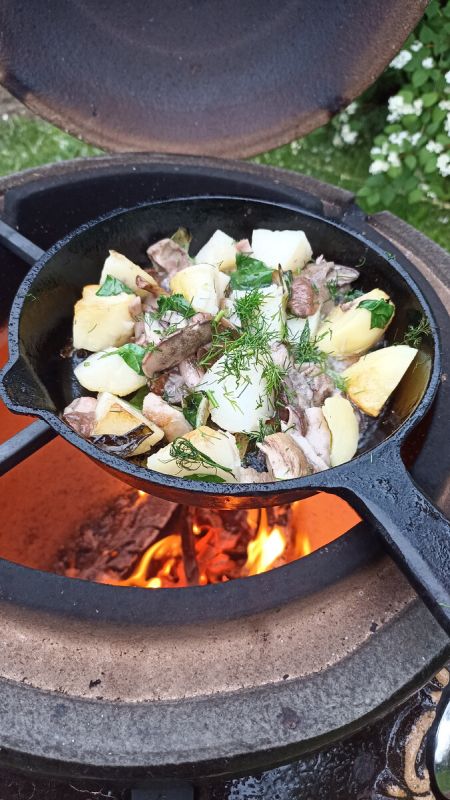 Кулинарные радости из леса