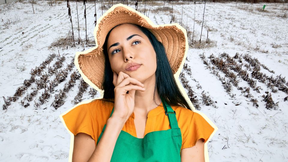 Садоводам на заметку: 3 способа спасти грядки от затопления весной