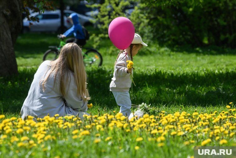 Позиция Госдумы по абортам: стабильность и поддержка женщин