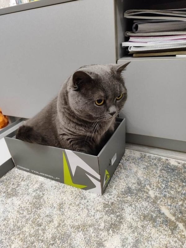 Репетиция для будущего: стоит ли рассчитывать на пенсию?