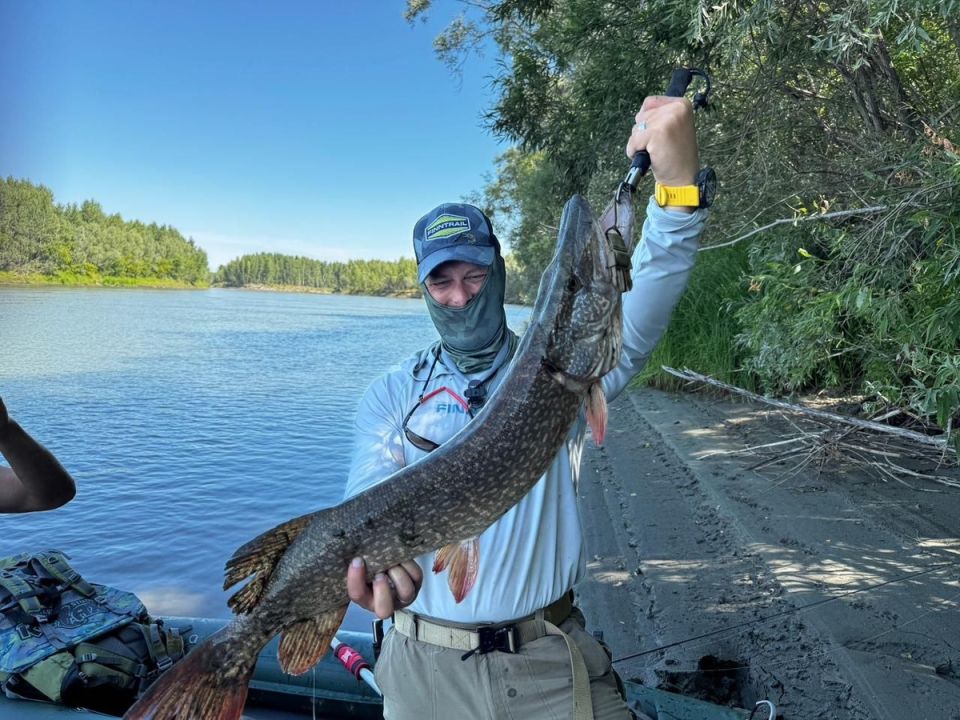 Сюрприз на реке Обь