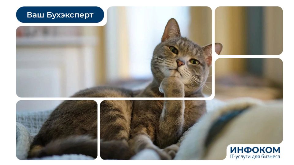 НДС для упрощенцев: изменения с 2026 года