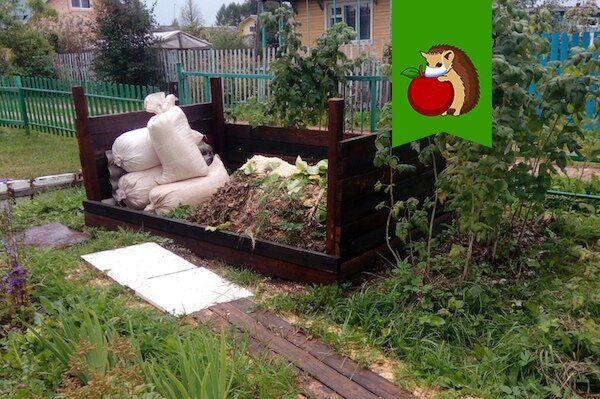 Пять ингредиентов, которые могут испортить ваш компост и навредить огороду