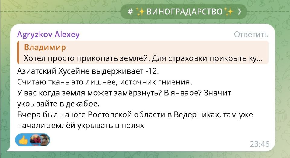 Секреты успешной зимовки винограда: советы и рекомендации