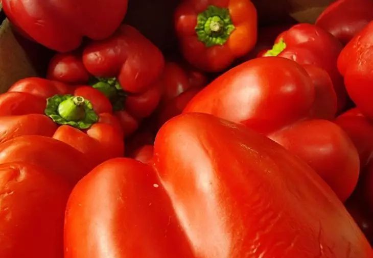 Малышева дала совет россиянам, как увеличить пользу овощей в 10 раз