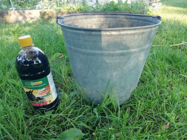 Не вздумайте выбрасывать старое ведро! 10 идей, которые превратят его в золото вашего дома