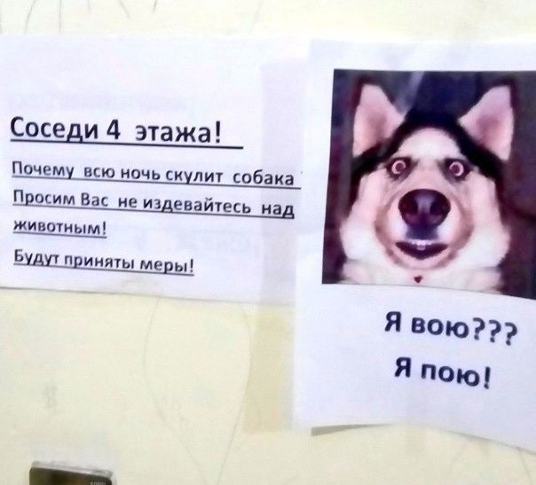 ��� ���������� � ����������� ���� ��������� ������: �������� ������