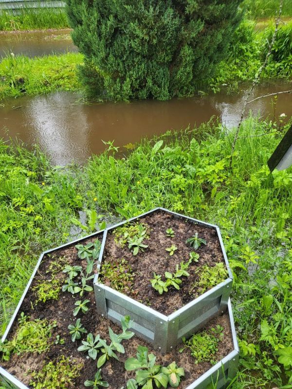 ��� �������� ������ �������, ���������� �������: ������ � ������������