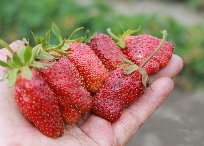 ����������: ���������� ����� ��� ������ ����