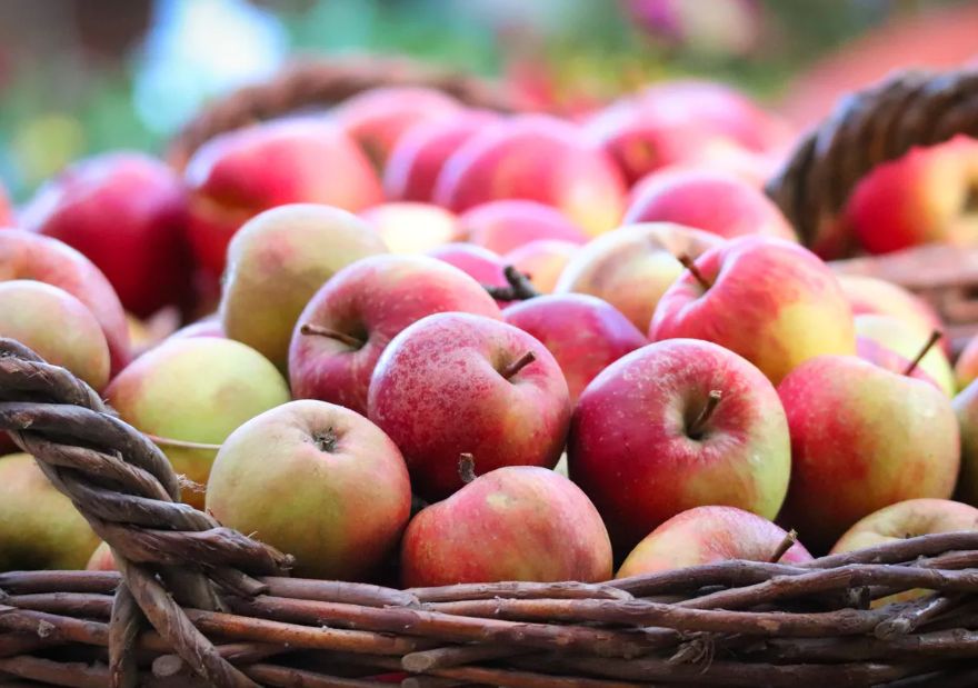 ������� ������� �������� �����: ������, ������� ��������� ������