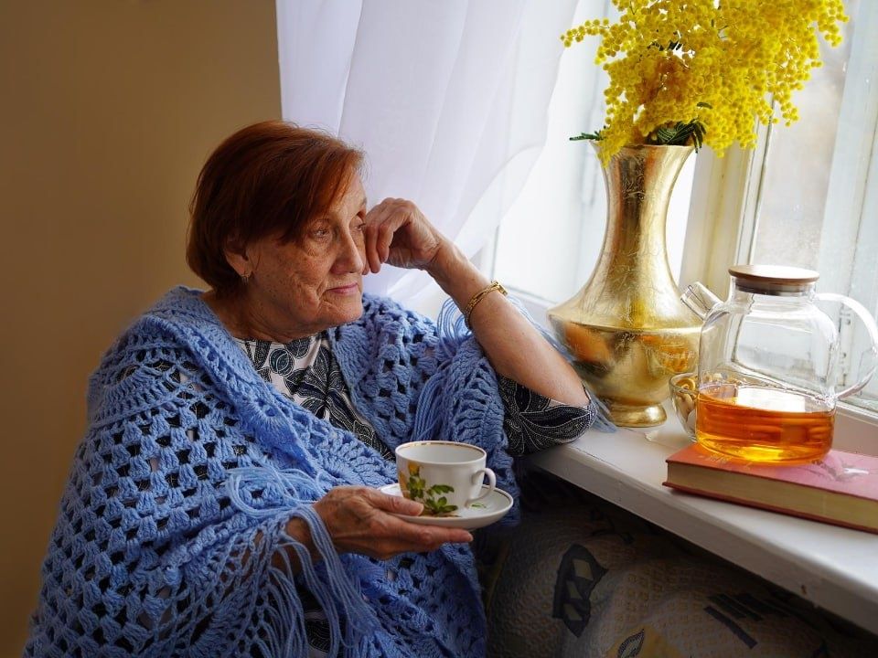 ���������� ��������� 2026 ����: ��� ���� ���������� �����������