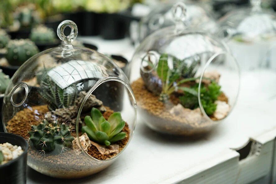 ������� �������� ����-��� ����������� � ���������� �����