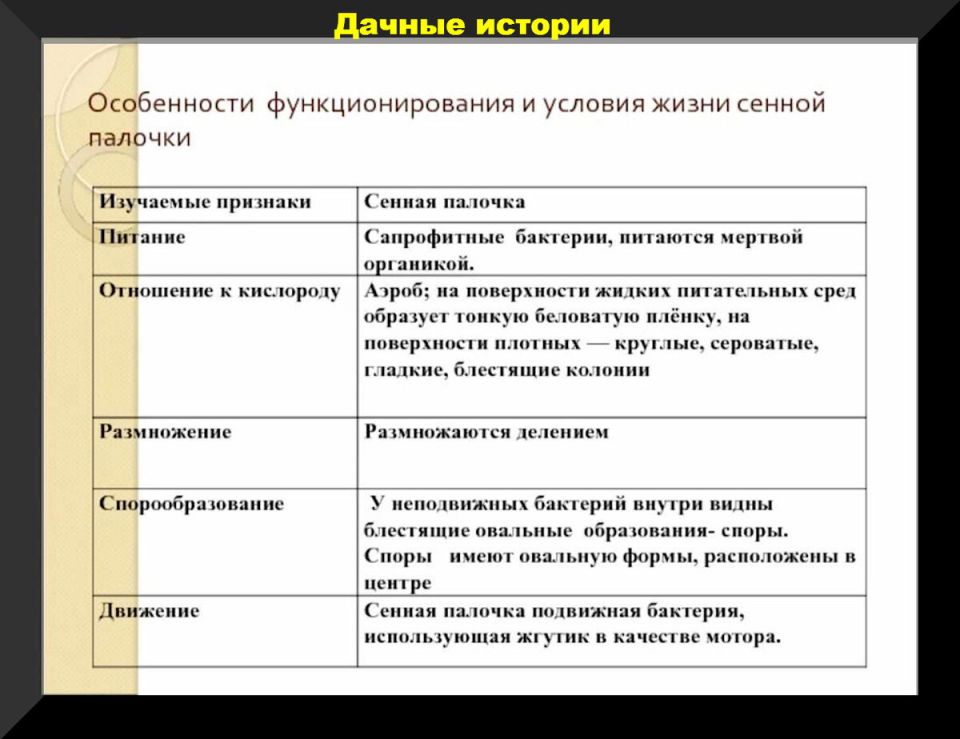 ��� ������ ������� �������� ��������� �������� ������: ��������� � ������������� �������������