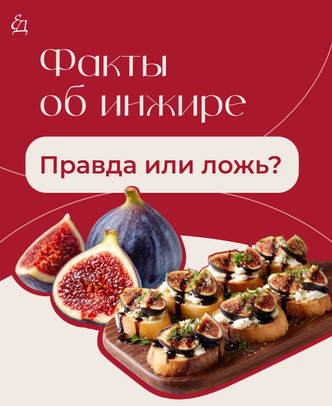 Инжир: Тайны и Факты, Которые Вы Не Знали