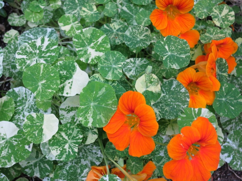 ������������� �����: ��� ������� ���� ���� ���� � ����������