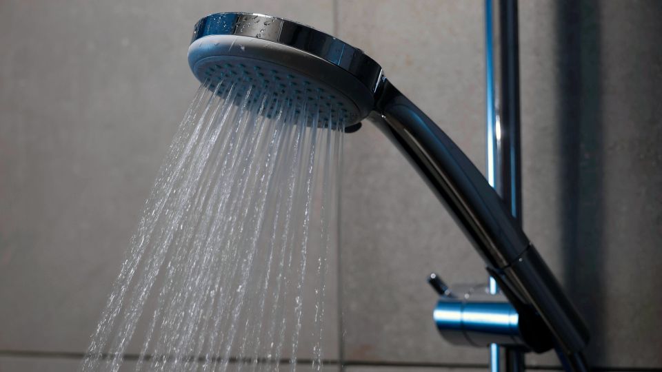 ����������� ����� ����������� �� ������: ��� ��� �������� ������� ����� �� ���