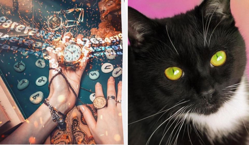 ��� ������� ��������� ������ ����� �� ���� ��������: ������ �� �����������