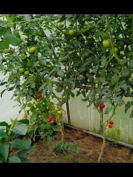 ������ �������: ������� ��������� ������ � �������� � ����� �� ����