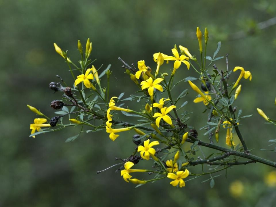 ���������: ������ ���������� �������� � ����