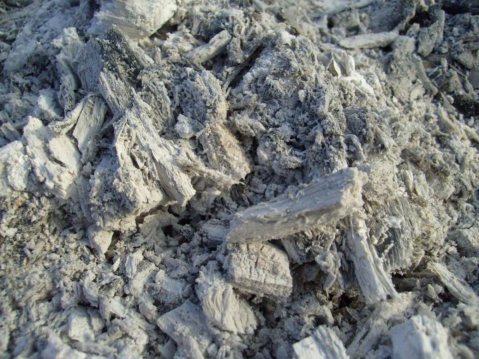 Зола на снегу: как она помогает плодовым деревьям весной