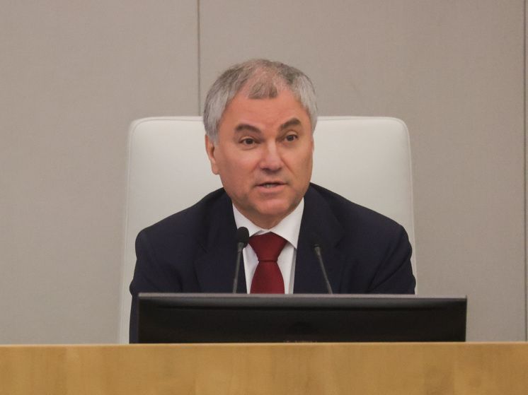 Вячеслав Володин призывает европейских политиков подумать о смене руководства