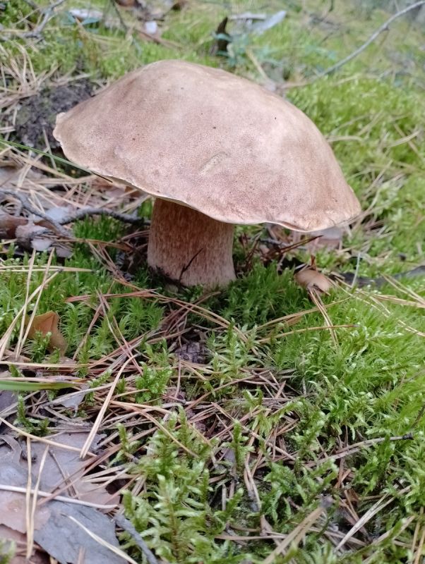 ��������� ������ ����������