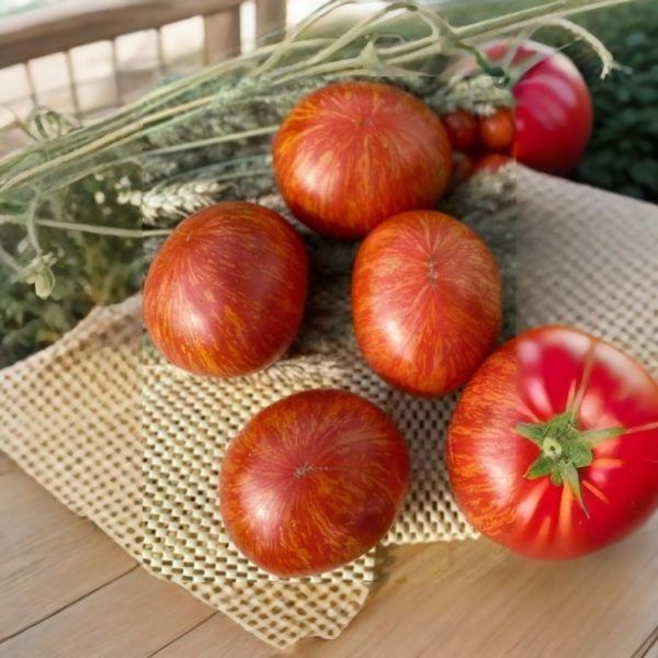 ��� ���� � ������� � �����: ���������� ��������� ��� ������ ������ �� ����� ������