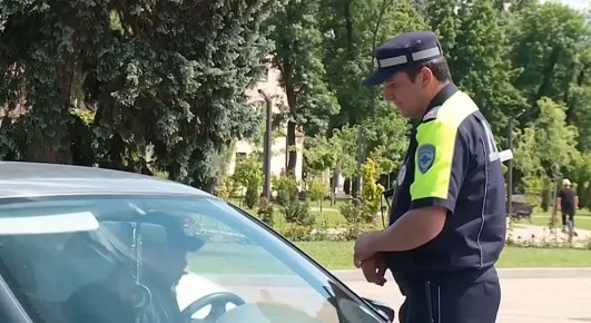   ,   : 