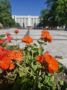Сегодня в Адыгее малооблачно