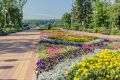 Выставку авторских кукол представила АНО "Дом-музей кукольных историй"