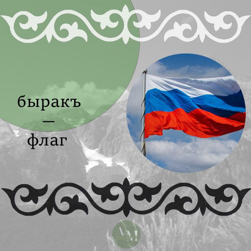 Рубрика «Родной язык». Сегодня вы переводили слова «Россия», «флаг», «медведь» и «самовар»
