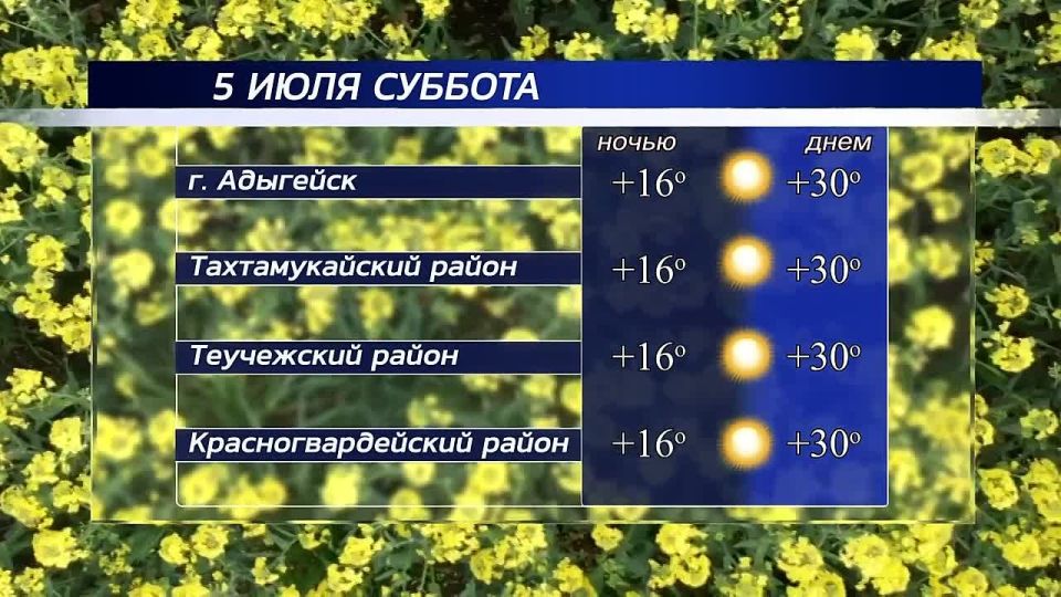  !.   , 5 