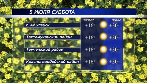  !.   , 5 