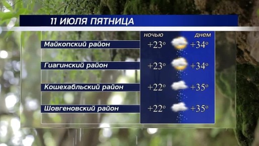  !.    , 11 