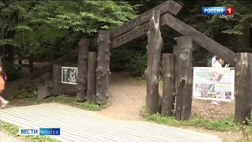 В России отметили праздник, посвящённый одной из самых редких и красивых кошек планеты - День переднеазиатского леопарда