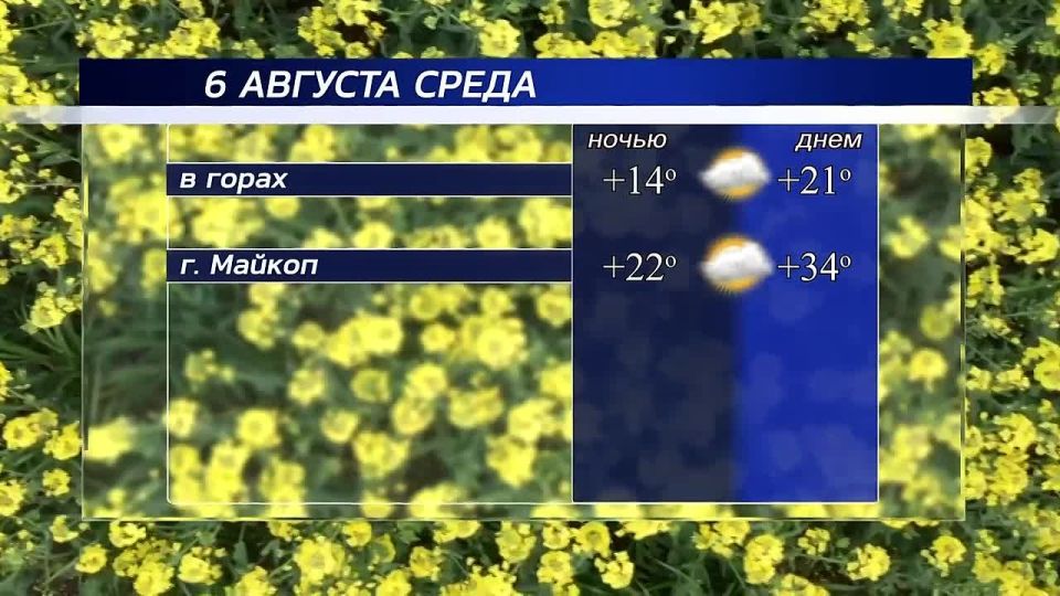  !.   , 6 