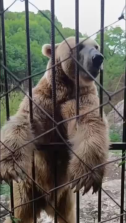     ,     ,    