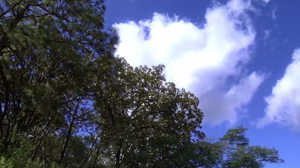  !.    , 14 