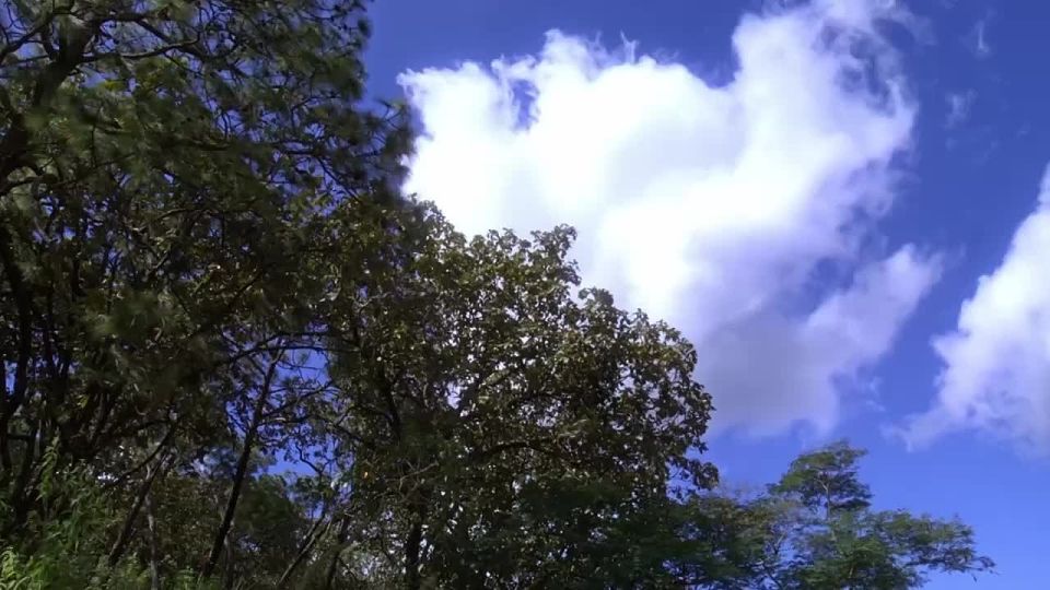  , !.    , 15 