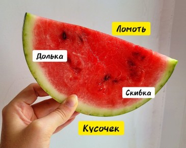    :     