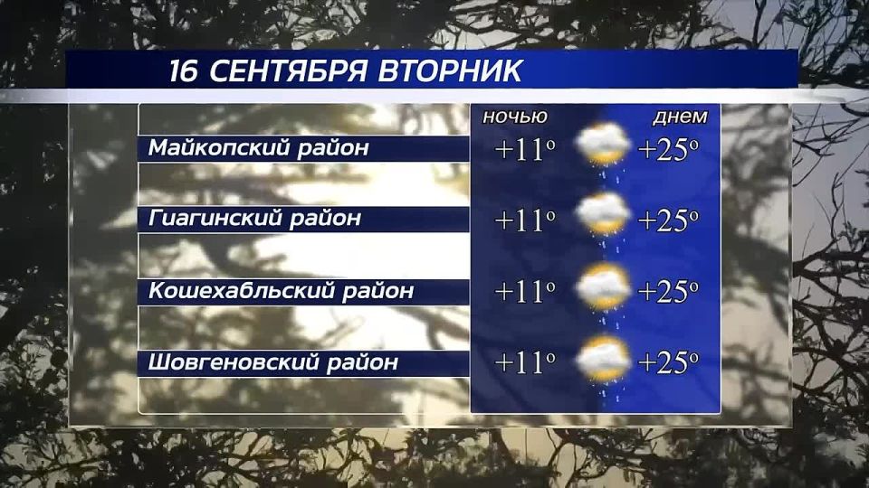  , !.    , 16 
