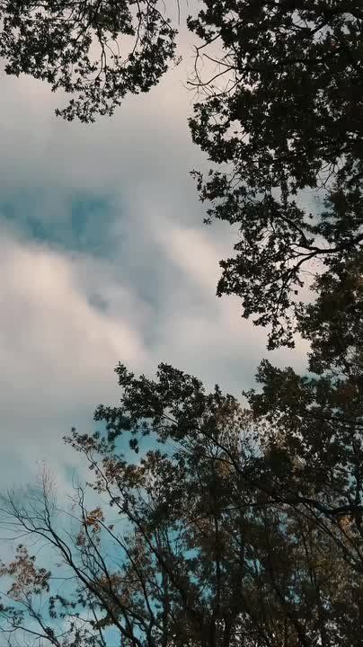  ,    - 