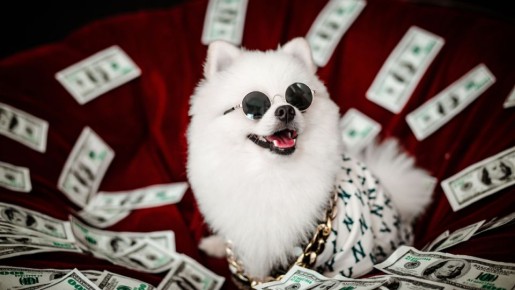  :        
