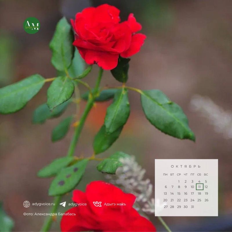  !. 11     