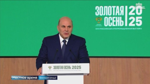   2025            ,     