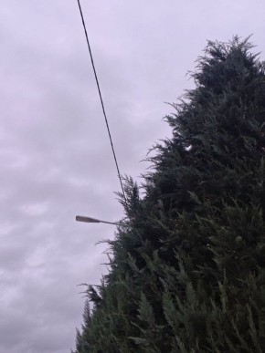     15 :