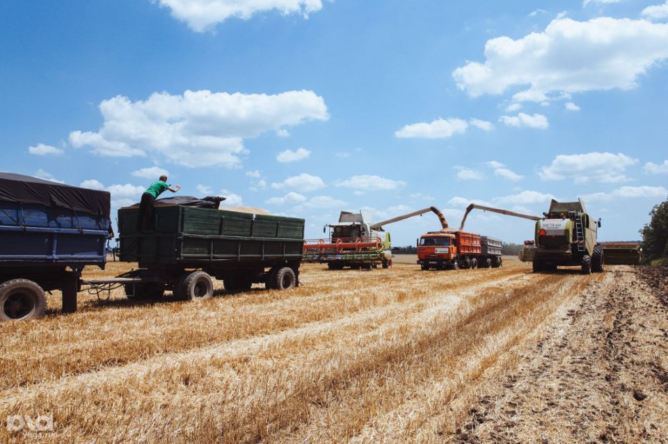 1 Адыгея вошла в пятерку лидеров России по урожайности зерновых